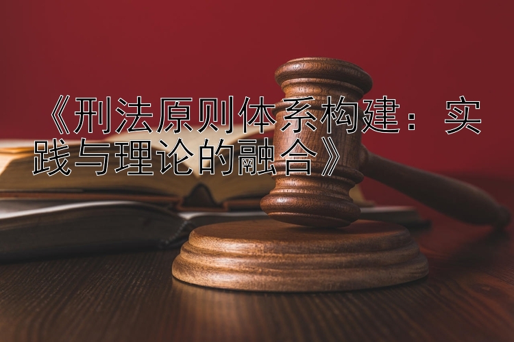 《刑法原则体系构建：实践与理论的融合》