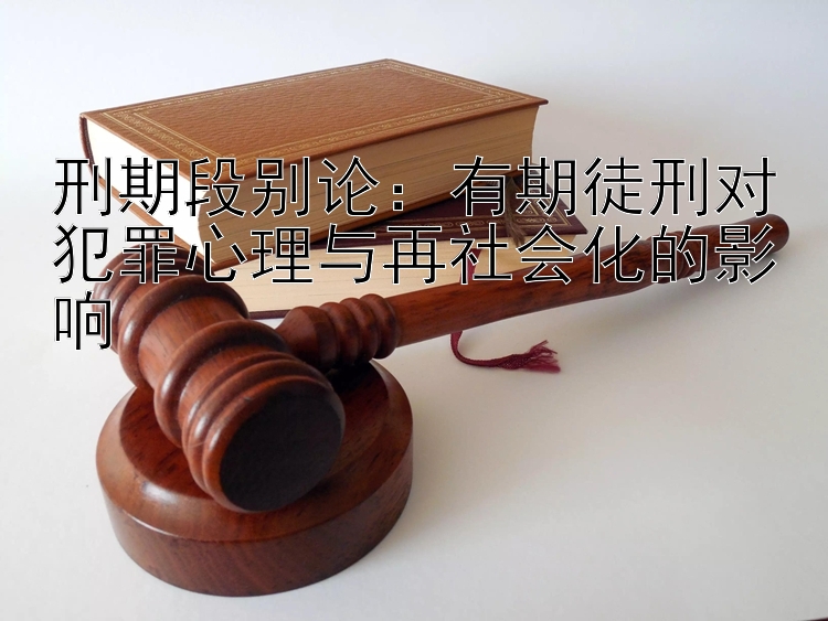 刑期段别论：有期徒刑对犯罪心理与再社会化的影响