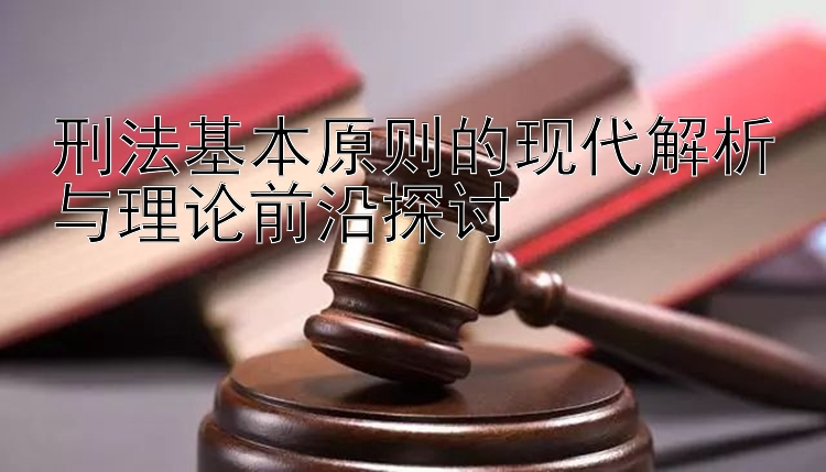 刑法基本原则的现代解析与理论前沿探讨