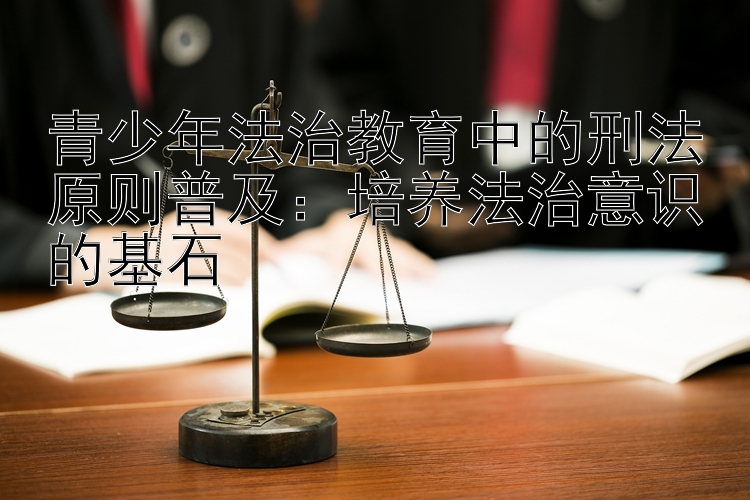 青少年法治教育中的刑法原则普及：培养法治意识的基石