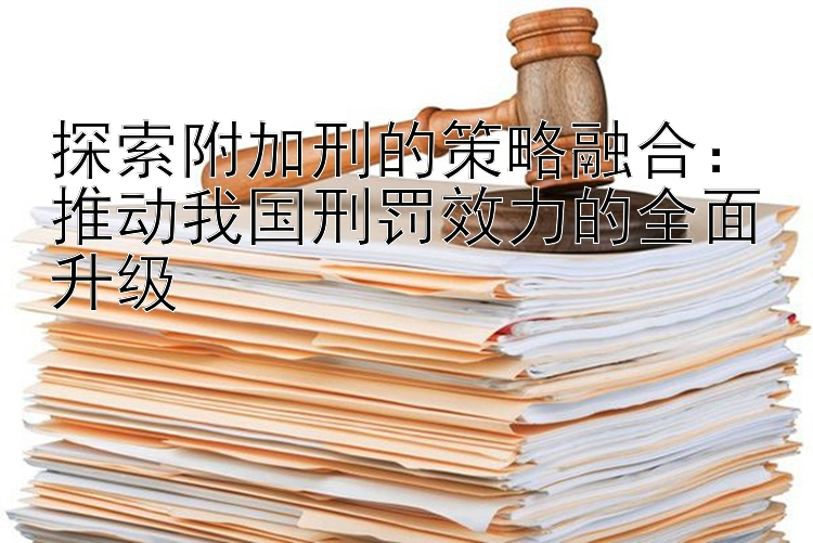 探索附加刑的策略融合：推动我国刑罚效力的全面升级