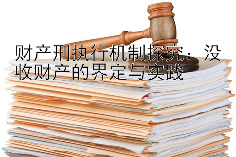 财产刑执行机制探究：没收财产的界定与实践