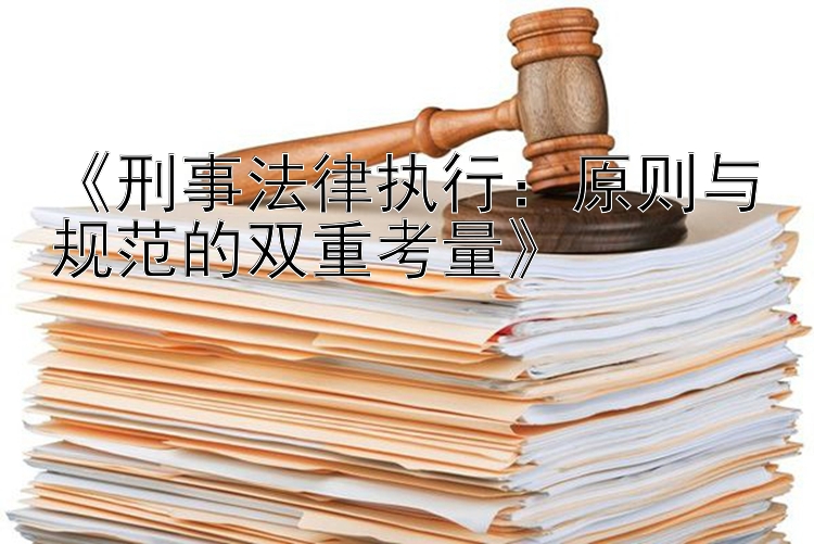 《刑事法律执行：原则与规范的双重考量》