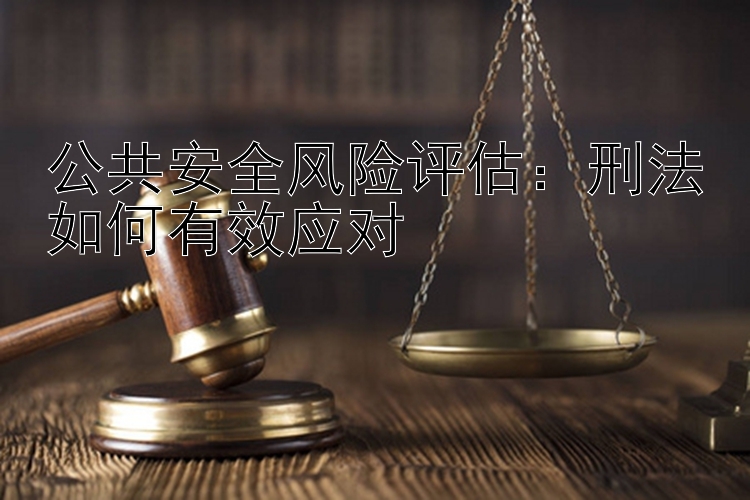 公共安全风险评估：刑法如何有效应对