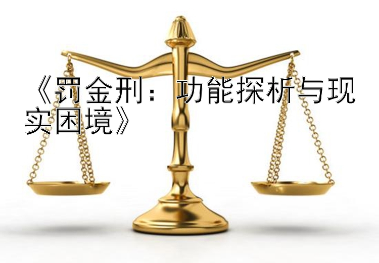 《罚金刑：功能探析与现实困境》