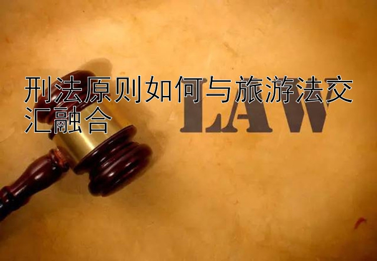 刑法原则如何与旅游法交汇融合