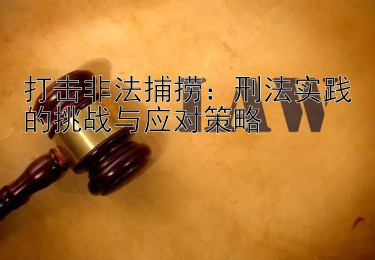 打击非法捕捞：刑法实践的挑战与应对策略