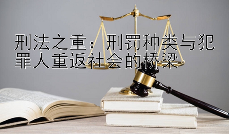 刑法之重：刑罚种类与犯罪人重返社会的桥梁