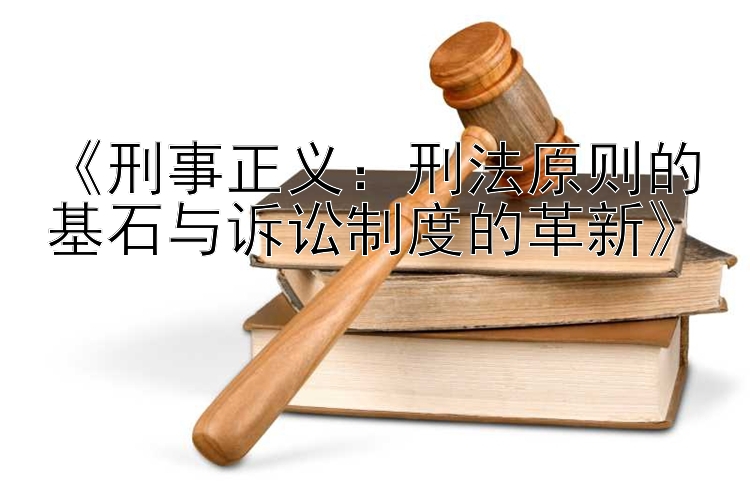 《刑事正义：刑法原则的基石与诉讼制度的革新》