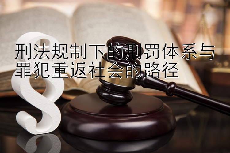 刑法规制下的刑罚体系与罪犯重返社会的路径