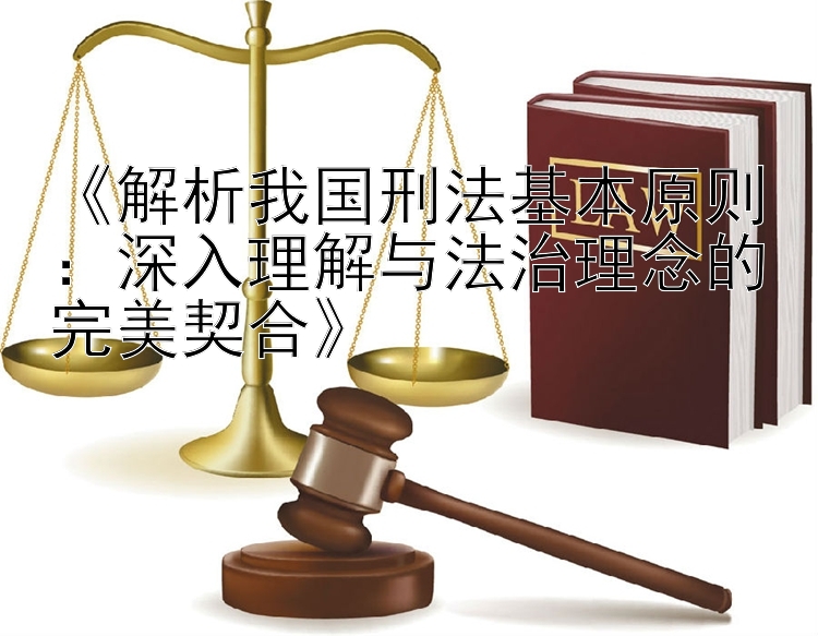 解析我国刑法基本原则：深入理解与法治理念的完美契合