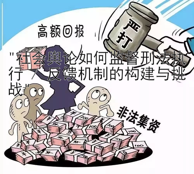 社会舆论如何监督刑法执行 / 反馈机制的构建与挑战