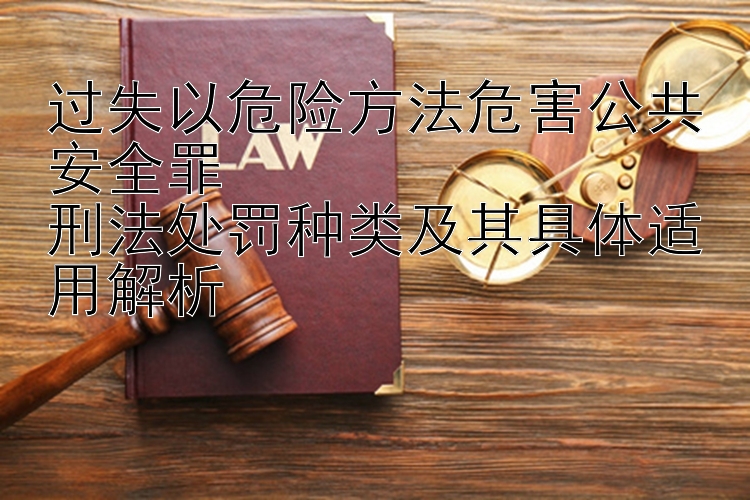 过失以危险方法危害公共安全罪  
刑法处罚种类及其具体适用解析