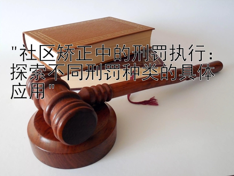 社区矫正中的刑罚执行：探索不同刑罚种类的具体应用