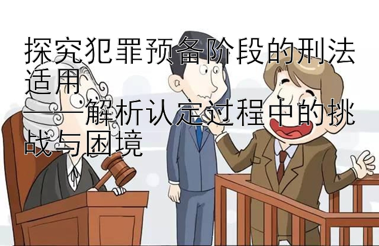 探究犯罪预备阶段的刑法适用  
——解析认定过程中的挑战与困境