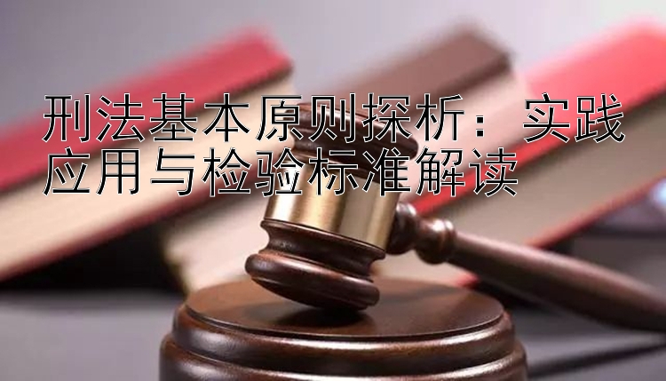 刑法基本原则探析：实践应用与检验标准解读