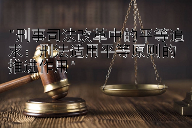 刑事司法改革中的平等追求：刑法适用平等原则的推进作用