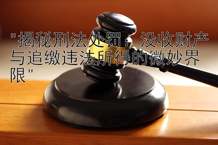 揭秘刑法处罚：没收财产与追缴违法所得的微妙界限