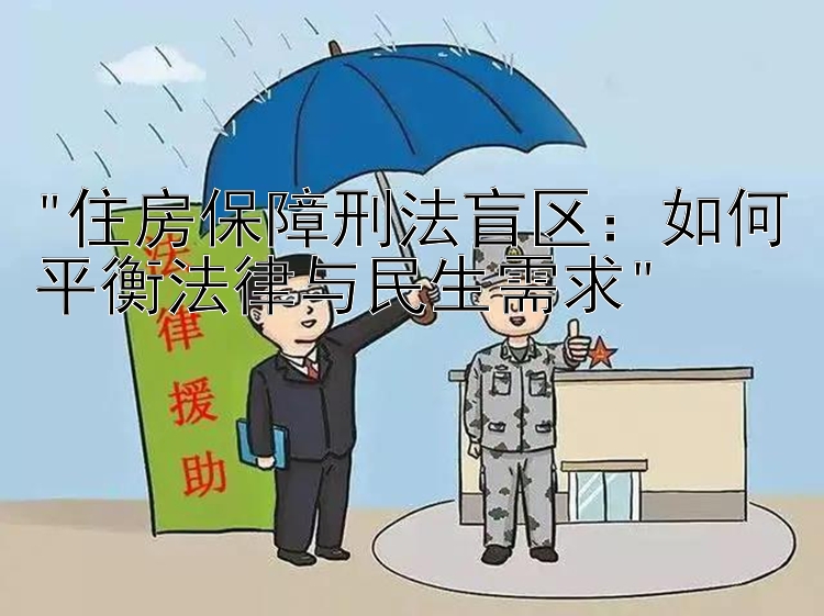 住房保障刑法盲区：如何平衡法律与民生需求