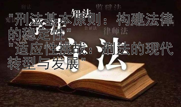 刑法基本原则：构建法律的稳定性
适应性挑战：刑法的现代转型与发展