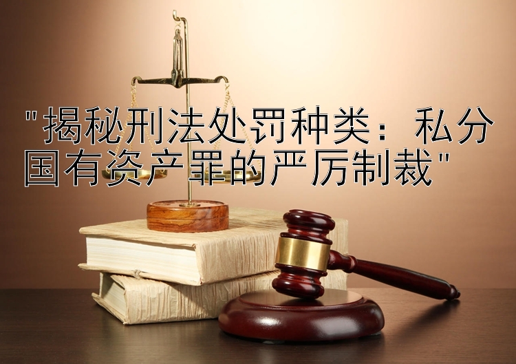 揭秘刑法处罚种类：私分国有资产罪的严厉制裁