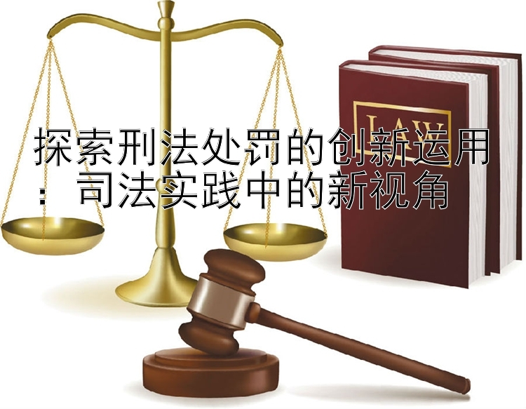 探索刑法处罚的创新运用：司法实践中的新视角