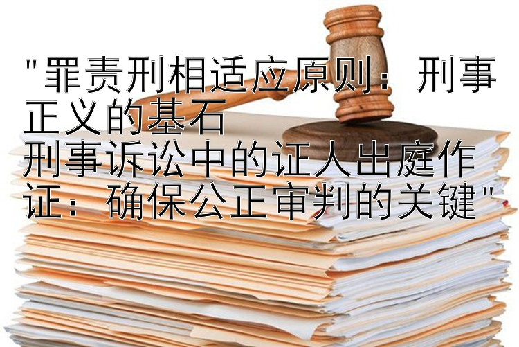 罪责刑相适应原则：刑事正义的基石
刑事诉讼中的证人出庭作证：确保公正审判的关键