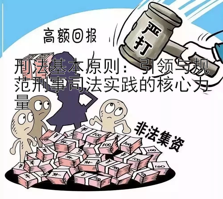 刑法基本原则：引领与规范刑事司法实践的核心力量