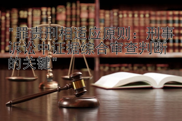 罪责刑相适应原则：刑事诉讼中证据综合审查判断的关键