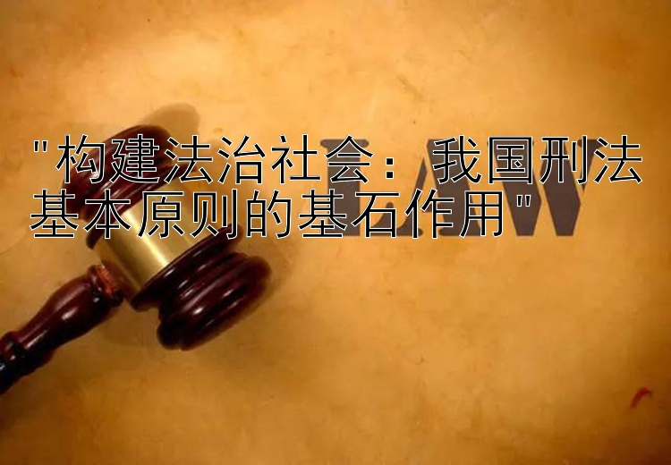 构建法治社会：我国刑法基本原则的基石作用