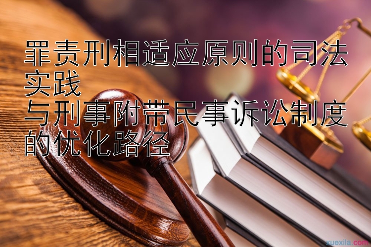 罪责刑相适应原则的司法实践  
与刑事附带民事诉讼制度的优化路径