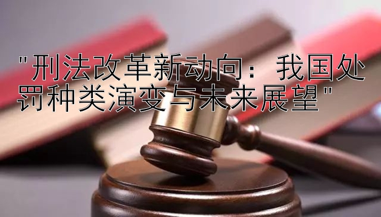 刑法改革新动向：我国处罚种类演变与未来展望