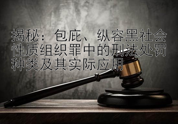 揭秘：包庇、纵容黑社会性质组织罪中的刑法处罚种类及其实际应用