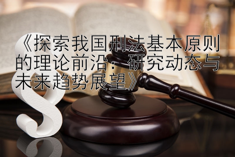 《探索我国刑法基本原则的理论前沿：研究动态与未来趋势展望》