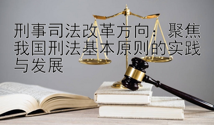 刑事司法改革方向：聚焦我国刑法基本原则的实践与发展