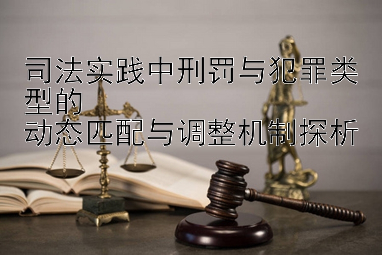 司法实践中刑罚与犯罪类型的  
动态匹配与调整机制探析