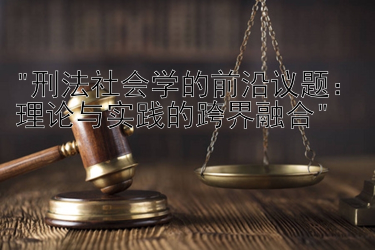 刑法社会学的前沿议题：理论与实践的跨界融合