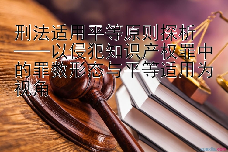 刑法适用平等原则探析  
——以侵犯知识产权罪中的罪数形态与平等适用为视角