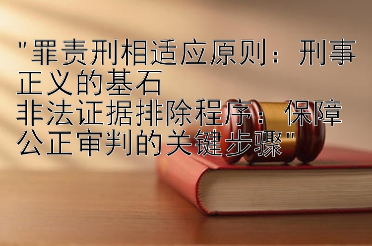 罪责刑相适应原则：刑事正义的基石
非法证据排除程序：保障公正审判的关键步骤