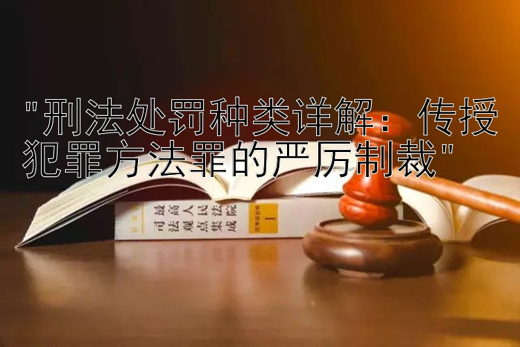 刑法处罚种类详解：传授犯罪方法罪的严厉制裁