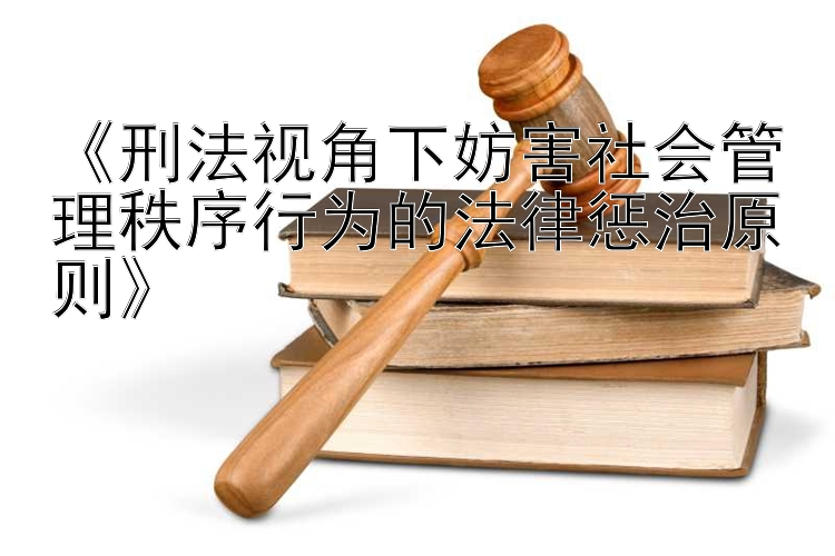 《刑法视角下妨害社会管理秩序行为的法律惩治原则》