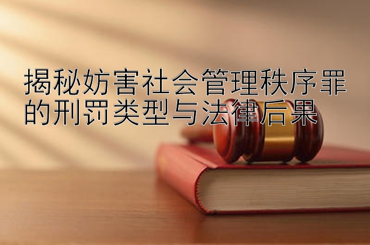 揭秘妨害社会管理秩序罪的刑罚类型与法律后果