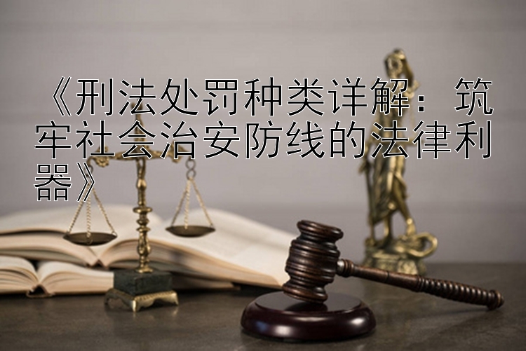 《刑法处罚种类详解：筑牢社会治安防线的法律利器》