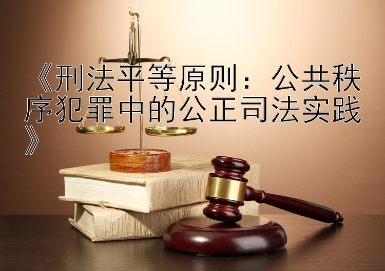 《刑法平等原则：公共秩序犯罪中的公正司法实践》