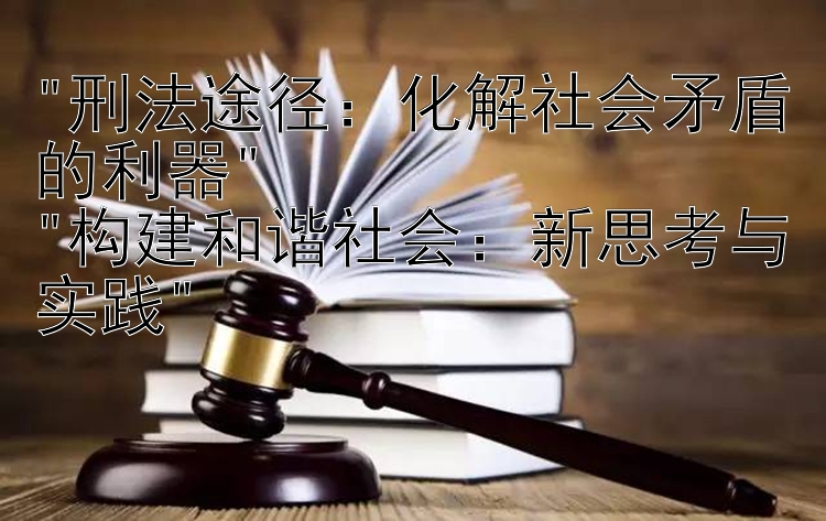 刑法途径：化解社会矛盾的利器
构建和谐社会：新思考与实践