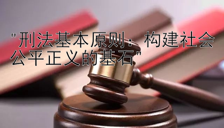 刑法基本原则：构建社会公平正义的基石