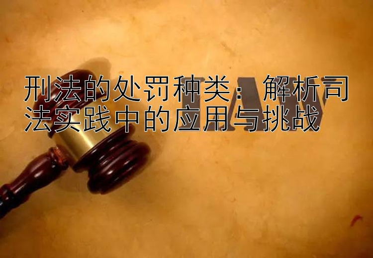 刑法的处罚种类：解析司法实践中的应用与挑战