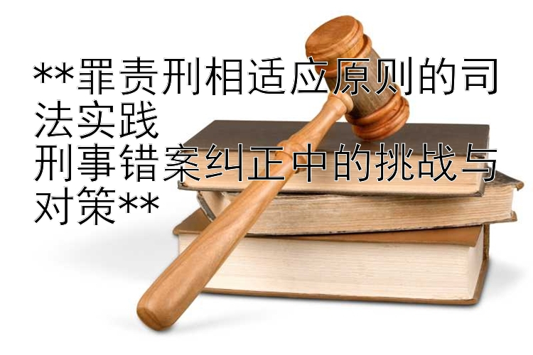 罪责刑相适应原则的司法实践 