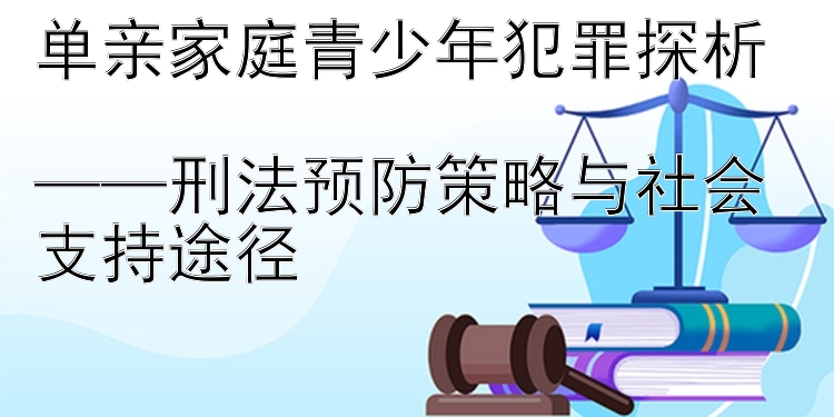 单亲家庭青少年犯罪探析  
——刑法预防策略与社会支持途径