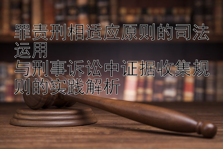 罪责刑相适应原则的司法运用  
与刑事诉讼中证据收集规则的实践解析